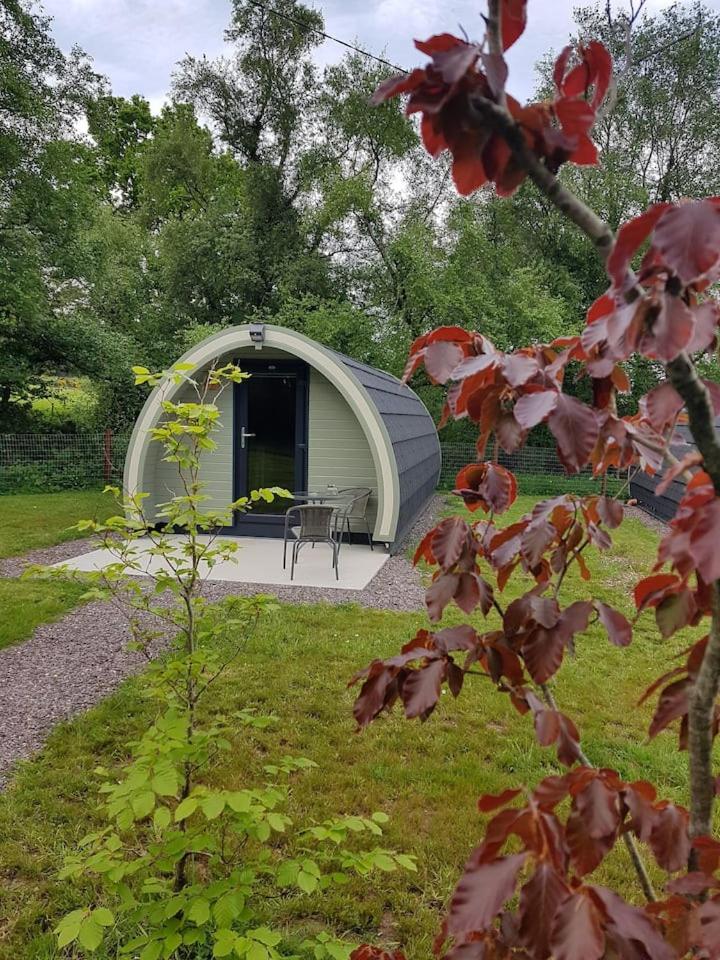 Mount Hillary Holiday Pods كورك المظهر الخارجي الصورة